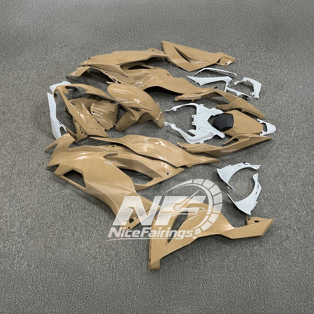 Ninja ZX6R 636 2019-2023 Sportbike Plastics Street Bodywork | NiceFairings - front angle image