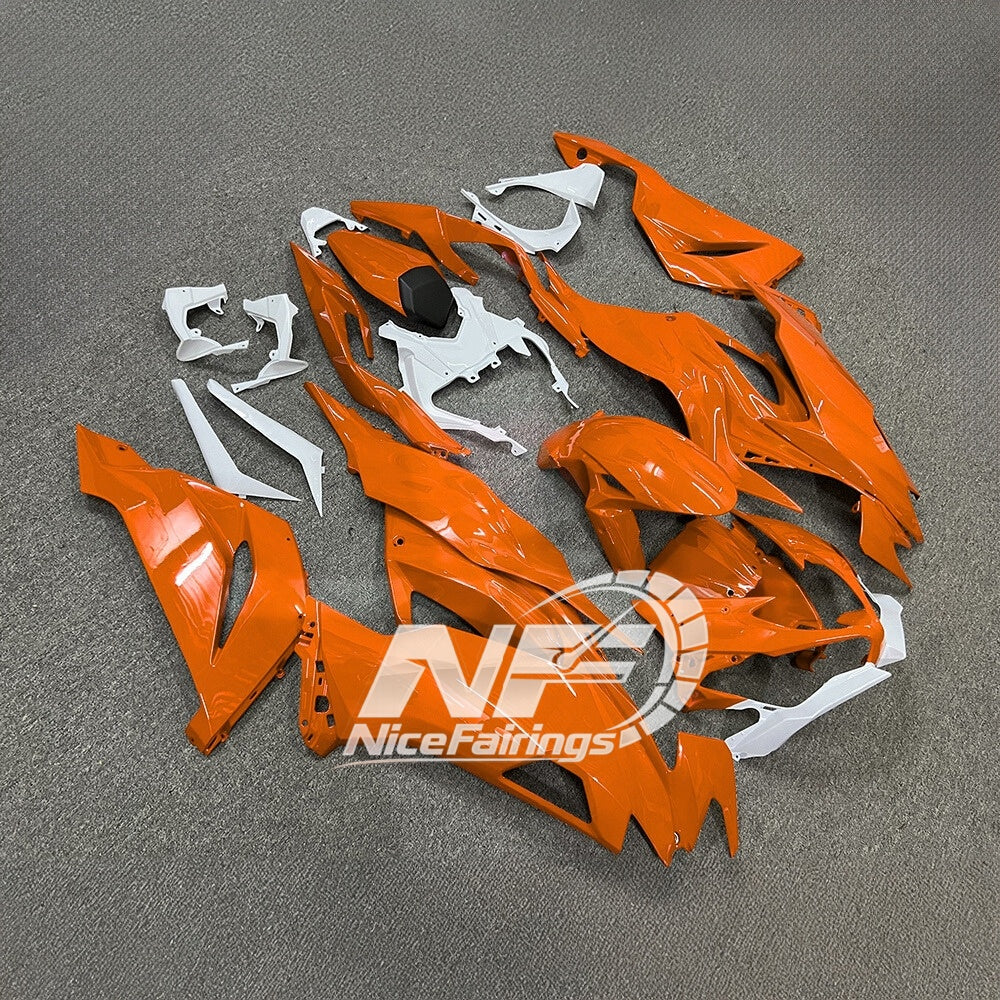 ZX6R 636 2019-2023 Painted Motorcycle Bodywork Track Edition | NiceFairings - side angle image