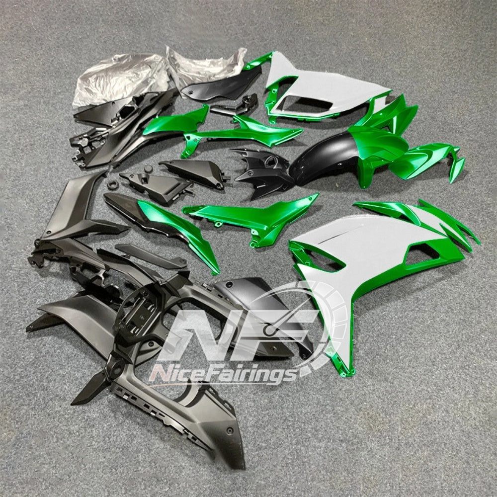 For KAWASAKI Ninja 650 ER-6F 2020-2026 Green Black Custom Painted Motorcycle Fairings Kit | NiceFairings - side angle image
