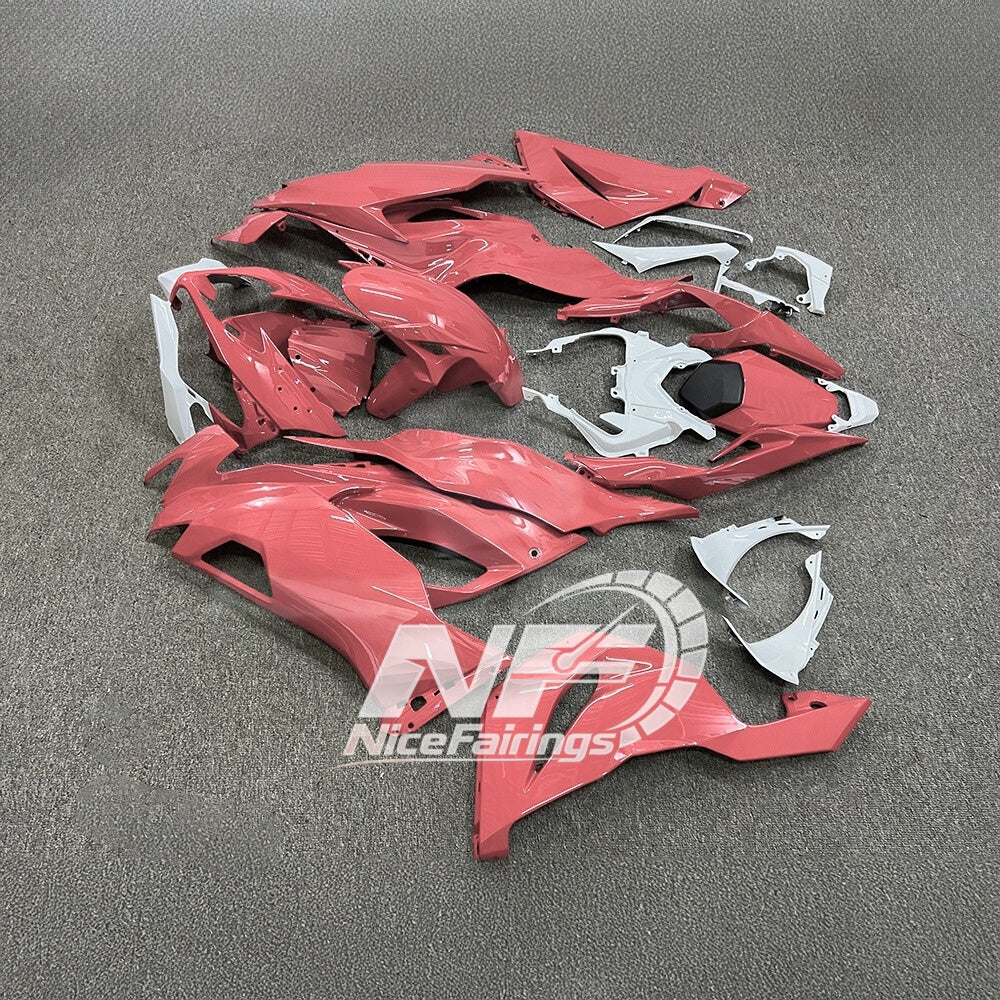Kawasaki ZX-6R 636 2019-2023 Replacement Fairing Set Race Replica | NiceFairings - front angle image
