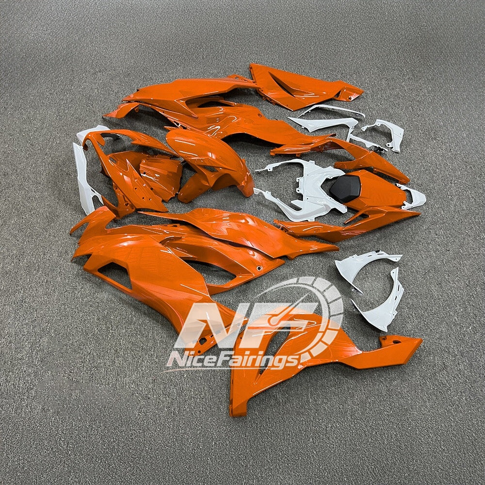 ZX6R 636 2019-2023 Painted Motorcycle Bodywork Track Edition | NiceFairings - front angle image