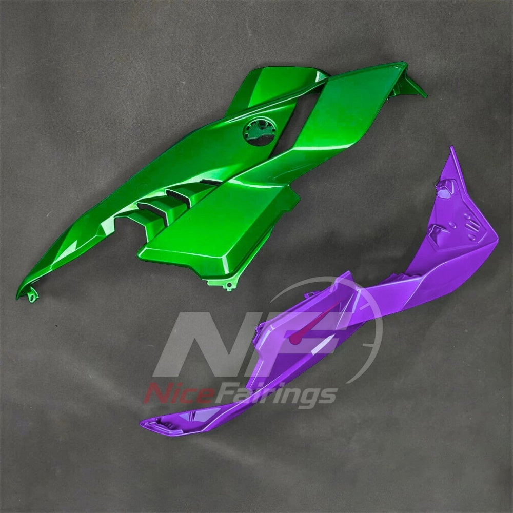 For BMW S1000RR 2025-2026 Green Black Sportbike Fairing Set with Custom Painted Plastics | NiceFairings - rear angle image