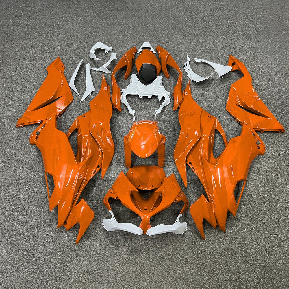ZX6R 636 2019-2023 Painted Motorcycle Bodywork Track Edition | NiceFairings - main product image