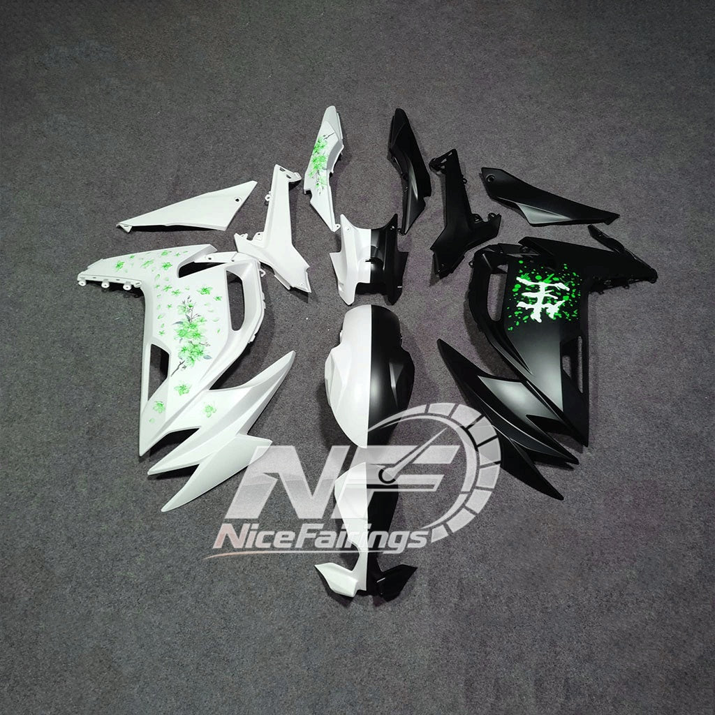 KAWASAKI Ninja 650 ER-6F 2020-2026 ABS Fairing Kit Style 01 | NiceFairings - main product image