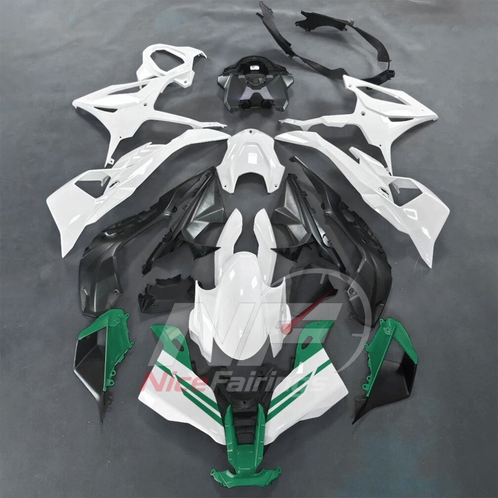 For BMW S1000RR 2025-2026 Green Black Custom Fairings with ABS Sportbike Plastics and Full Body Kit | NiceFairings - paint design NO.3 option image